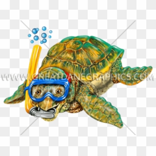Sea Turtle Clipart Snorkeling - Cartoon Baby Sea Turtles, HD Png Download