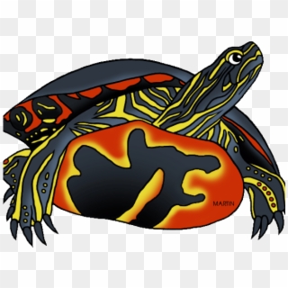 Turtle Clipart Reptile - Painted Turtle Clipart Free, HD Png Download
