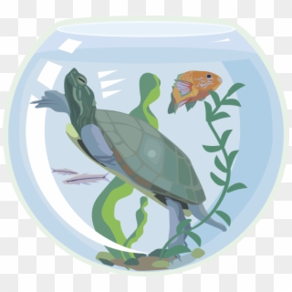 Free Turtle Clipart - Illustration, HD Png Download