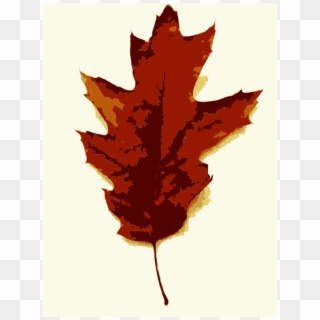 Person Tos Falling 800 X 673 346 Kb Jpeg - Maple Leaf, HD Png Download