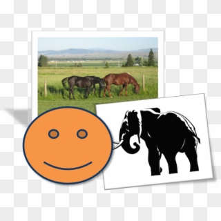 Mane, HD Png Download