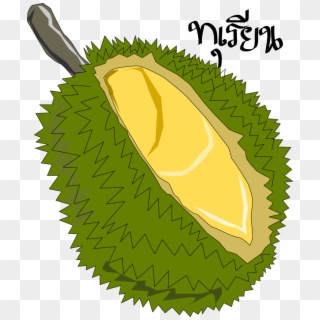 Durian Clipart Png, Transparent Png