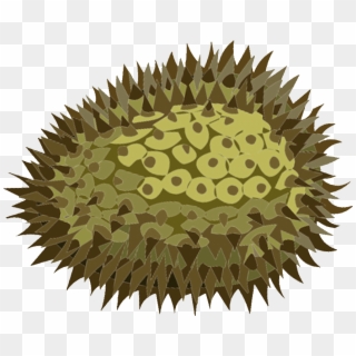 Durian Clipart, HD Png Download