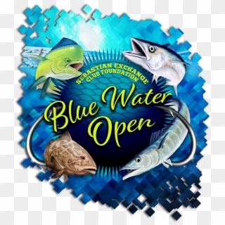 Blue Water Open Charity Off-shore Fishing Tournament - Billfish, HD Png Download