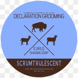 Declaration Grooming - Scrumtrulescent - Silhouette, HD Png Download