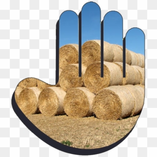 Helping-hand - Hay, HD Png Download