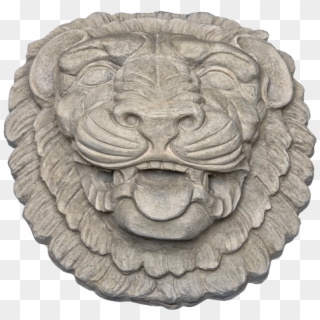 Lion Head 1 Grey Color Smooth Texture Web Image - Masai Lion, HD Png Download