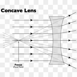 The Photons Of Light Then Travels In All Directions - Focus Of Concave Lens, HD Png Download