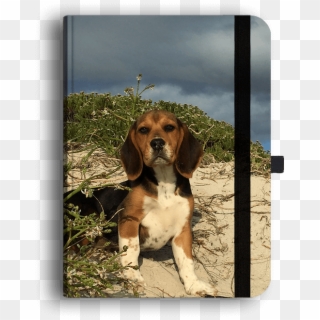 Picture Of Beagle Luxury Journal - Beagle-harrier, HD Png Download