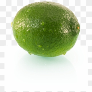 Te Puna Limes Story Growing Superior Fresh Delivered - Persian Lime, HD Png Download