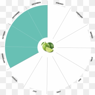 Bio Limes Production Calendar - Circle, HD Png Download