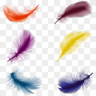 Bird Illustration Floating, HD Png Download