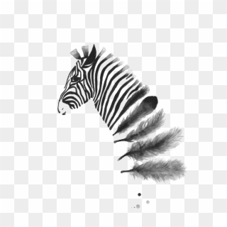 Zebra Ink Wash Into Feathers Pinned By Issy Wilson - Black And White Zebra Art, HD Png Download