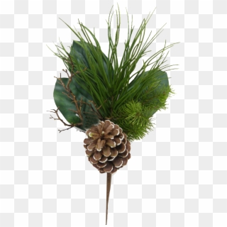 Mixed Evergreen Pick With Pinecones - Conifer Cone, HD Png Download