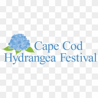 Hydrangea Festival - Hellyer, HD Png Download