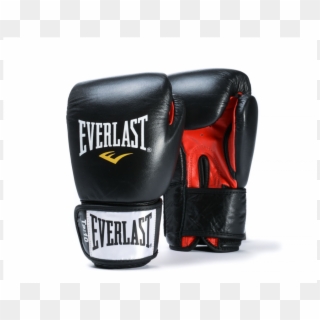 More Views - Everlast, HD Png Download