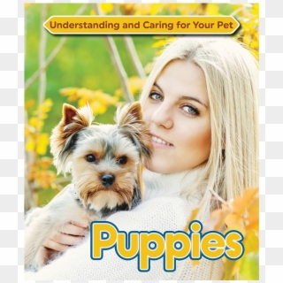 Puppies - Yorkshire Terrier, HD Png Download