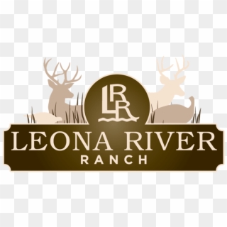 Whitetail Hunting Ranch Logo Design - Ranch Logo Design, HD Png Download
