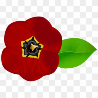 Free Png Download Red Flower Png Images Background, Transparent Png