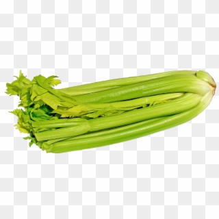 Green Celery Png Image - Celery Png, Transparent Png