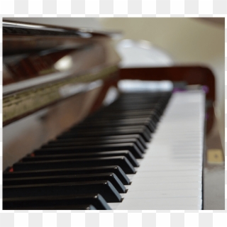 Suzan's Cents - Player Piano, HD Png Download