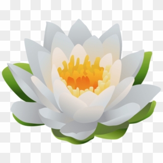 Free Png Download Water Lily Png Images Background - Sacred Lotus, Transparent Png