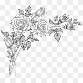 Collection Of Free Drawing - Roses Pencil Drawing Png, Transparent Png