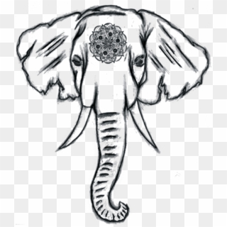 Image Result For Easy Elephant Drawing Tumblr Canvas - Cute Easy Elephants To Draw, HD Png Download