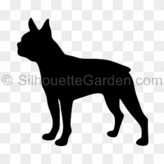 Boston Terrier Clipart Silhouette, HD Png Download