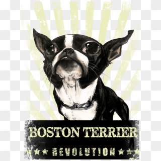 Click And Drag To Re-position The Image, If Desired - Boston Terrier, HD Png Download