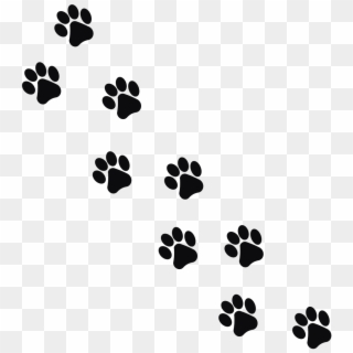 Footprint Animal Cat Png Image - Cat, Transparent Png