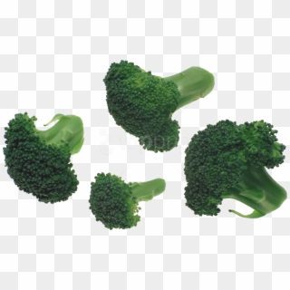 Free Png Images - Broccoli Png, Transparent Png