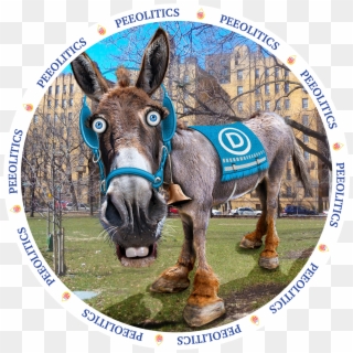 Democratic Donkey - Democratic Party, HD Png Download