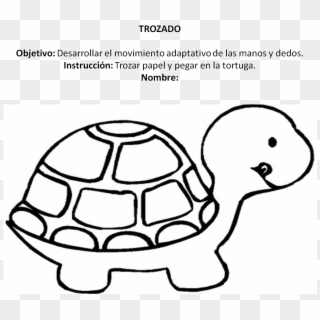 Imagen12 - Turtle Images For Colouring, HD Png Download