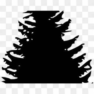 Drawn Pine Tree Svg - Clipart Pine Trees Black And White, HD Png Download