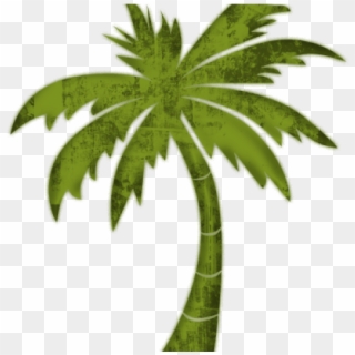 Palm Tree Clipart Transparent Png - Florida State Role Play, Png Download