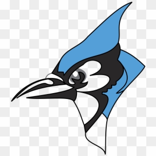 Blue Jay Png - Middlesex Blue Jays Logo, Transparent Png