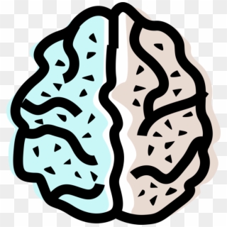 Vector Illustration Of Human Brain Left And Right Hemisphere, HD Png Download