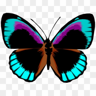 Vector Illustration Of Colorful Black And Blue Butterfly - Bright Colored Butterfly, HD Png Download