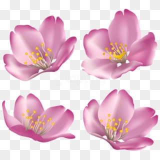Download Flowers For Decoration Clipart Png Photo - Rosa Rubiginosa, Transparent Png