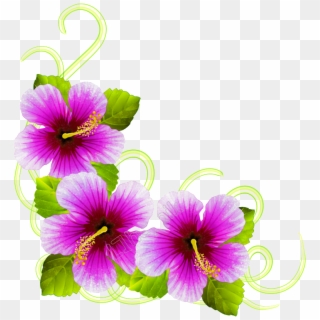 Purple Hibiscus Png - Hibiscus, Transparent Png