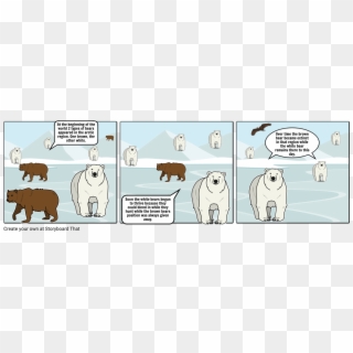 White Bears Vs Brown Bears - Cartoon, HD Png Download