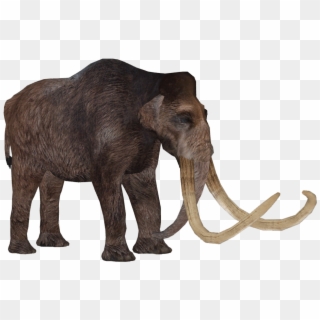 Mammoth Png - Indian Elephant, Transparent Png