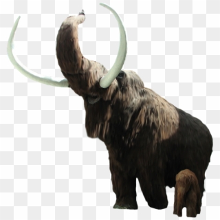 Mammoth Png - Working Animal, Transparent Png