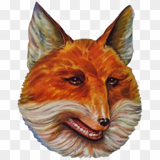 Perhaps The Smiling Fox Will Make Another Appearance - Fox Head Transparent, HD Png Download