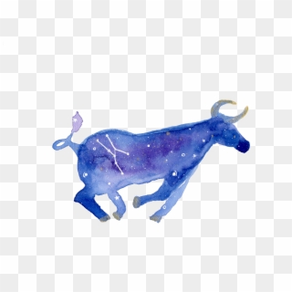 Taurus Ink And Watercolor , Png Download, Transparent Png