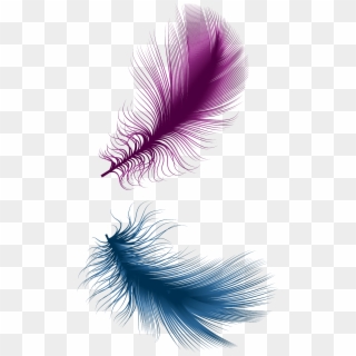 #feathers #feather #floatingfeathers #filigree #swirls - Illustration, HD Png Download