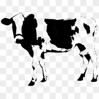 Cow Comments - Cattle Transparent, HD Png Download