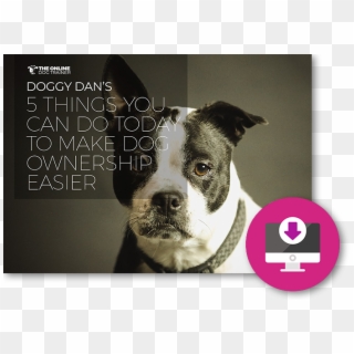 Follow Through On The Recommendations I Provide In - Baby Pet Quote, HD Png Download