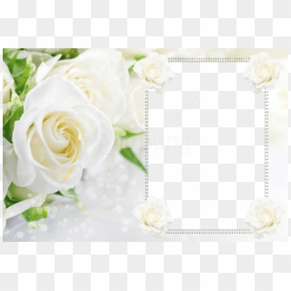Free Png Transparent Soft White Roses Frame Background - White Roses Background, Png Download